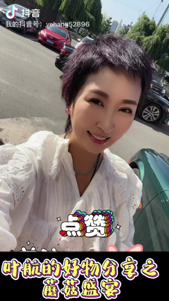 主持人叶航_叶航个人资料简介_长春交通之声叶航 - 抖音