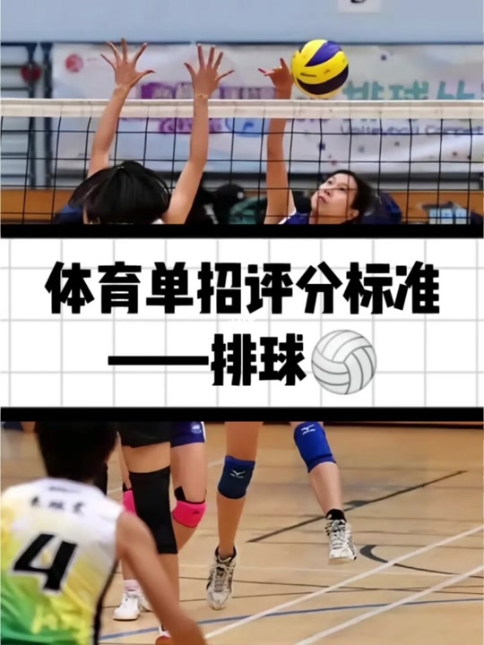 排球运动员等级标准新政策 - 抖音