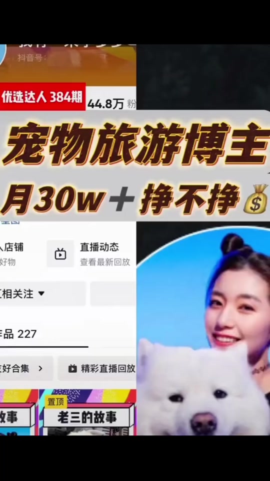 抖音行业类博主=抖音博主是什么职业