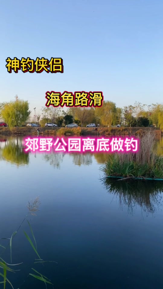肥水钓鱼测试网站_肥水钓鱼测试网站官网