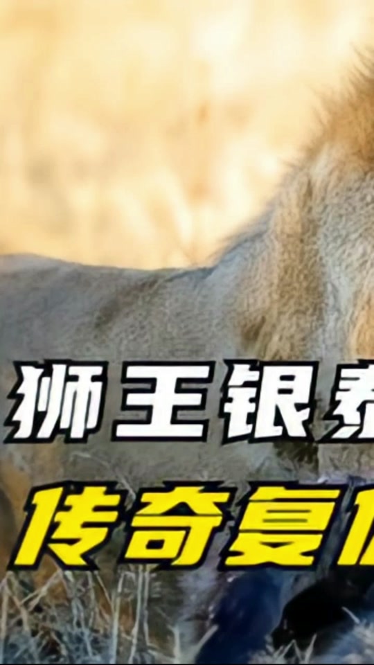 银泰杜梅拉的一生纪录片怎么拍的 - 抖音