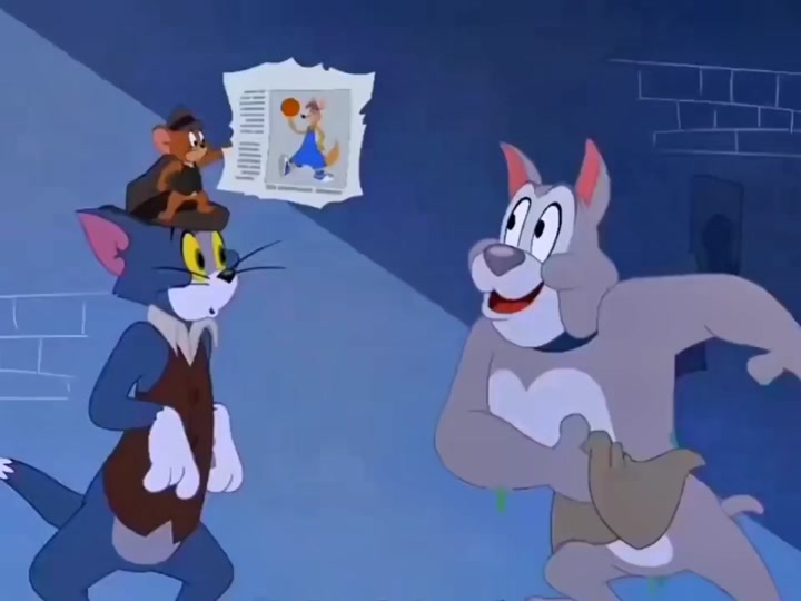 猫鼠侦探找到答案