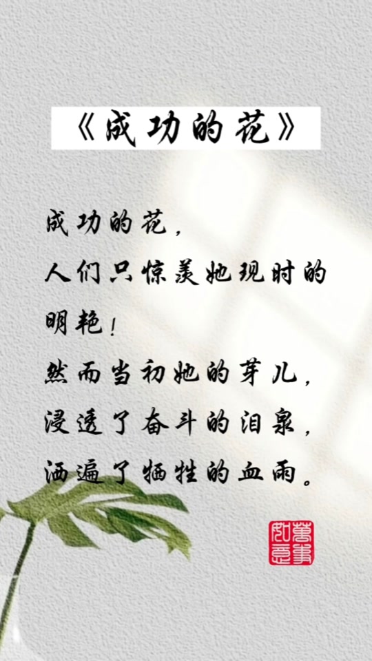 成功的花冰心朗诵
