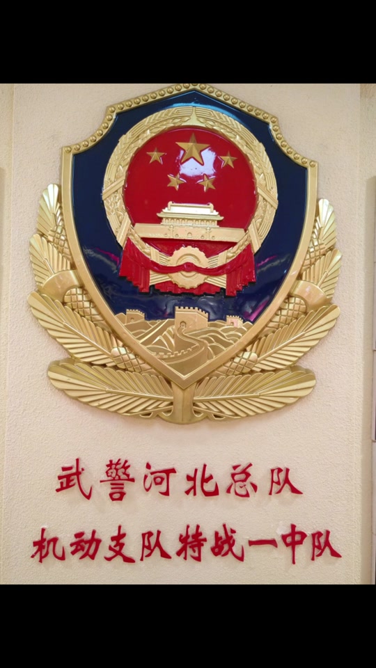 河北省武警第一机动总队在哪里 - 抖音