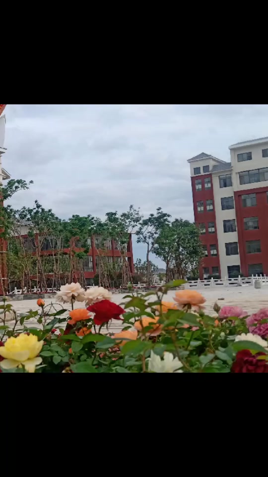 24年个旧大屯民大附中高中怎么收费 - 抖音