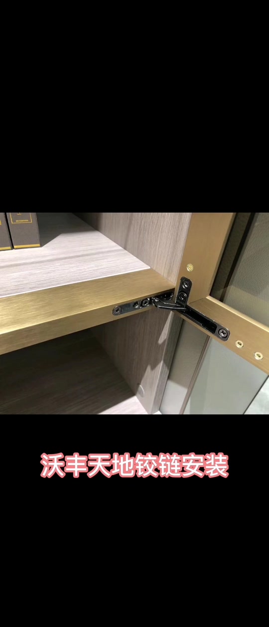 玻璃门天地铰链