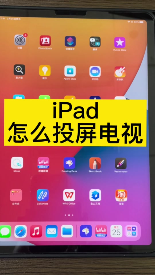 投屏 #ipad投屏到电视 #手机投屏 #追剧 #投屏器