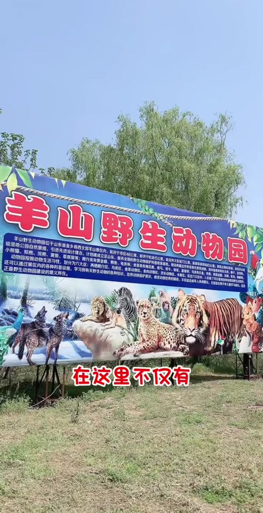 清明节金乡羊山免门票吗 - 抖音