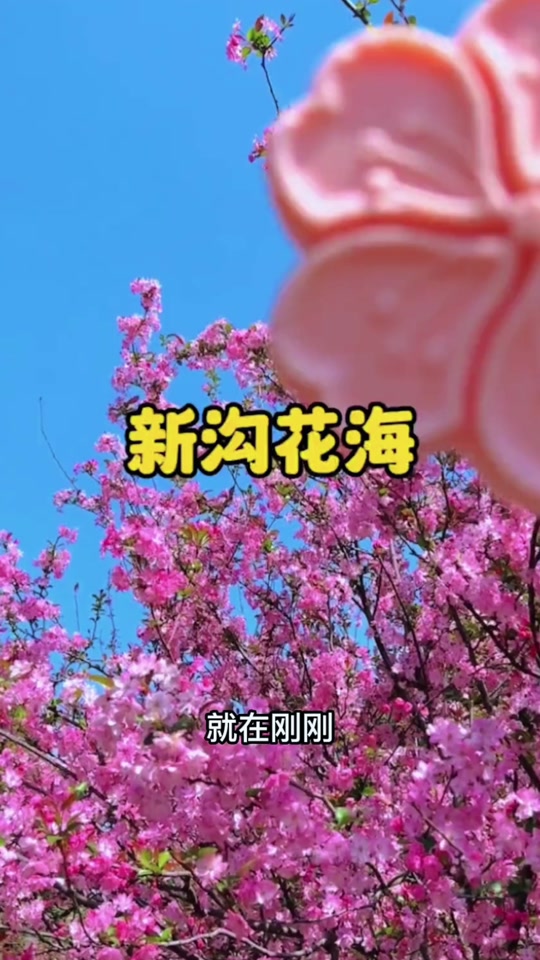 郑州司机的新沟花海在具体在什么位置 - 抖音