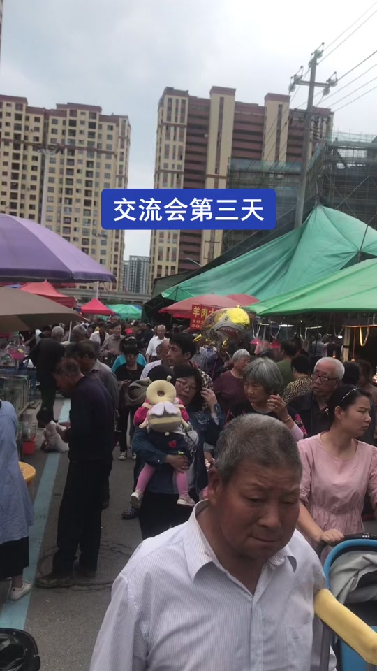 金义鞋塘镇拆迁吗今天_浙江省金华市鞋塘镇