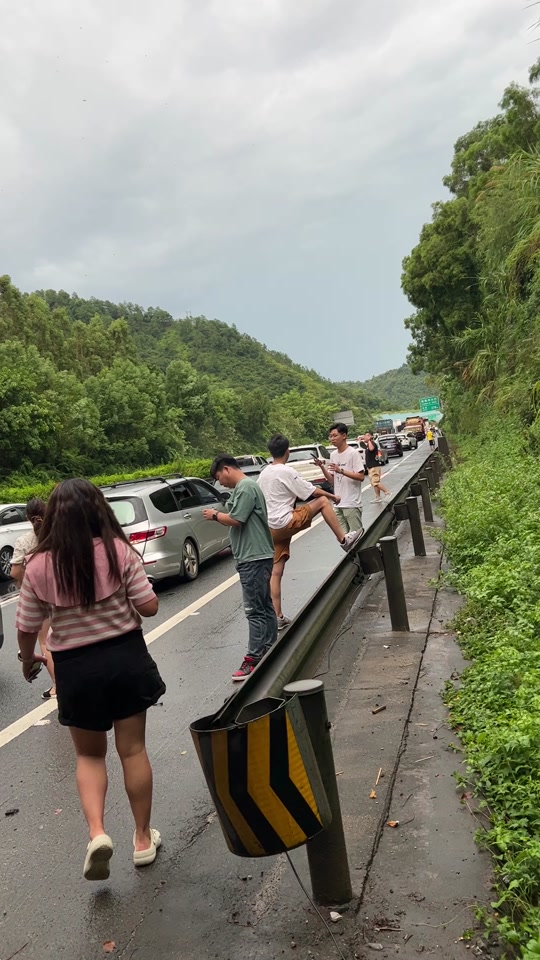 今年正月16沈海高速塞车吗