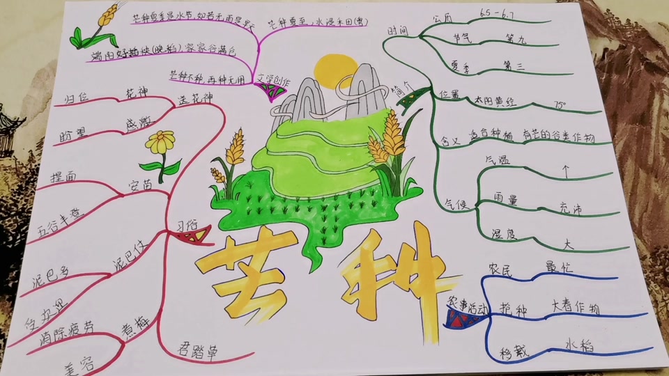 2023芒种杯思维导图