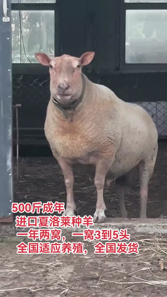 嘉奔孵化养殖基地