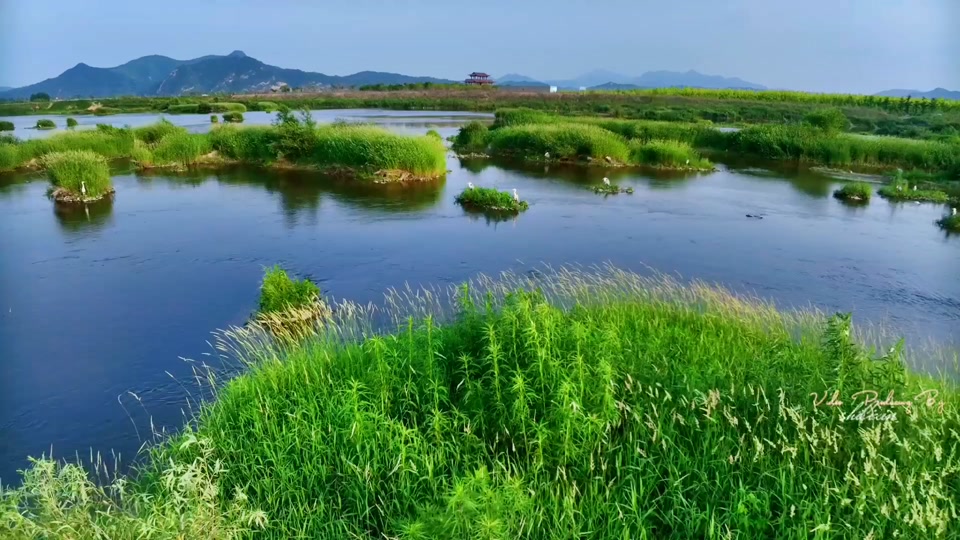 草河湿地公园开放了吗_番禺草河湿地公园