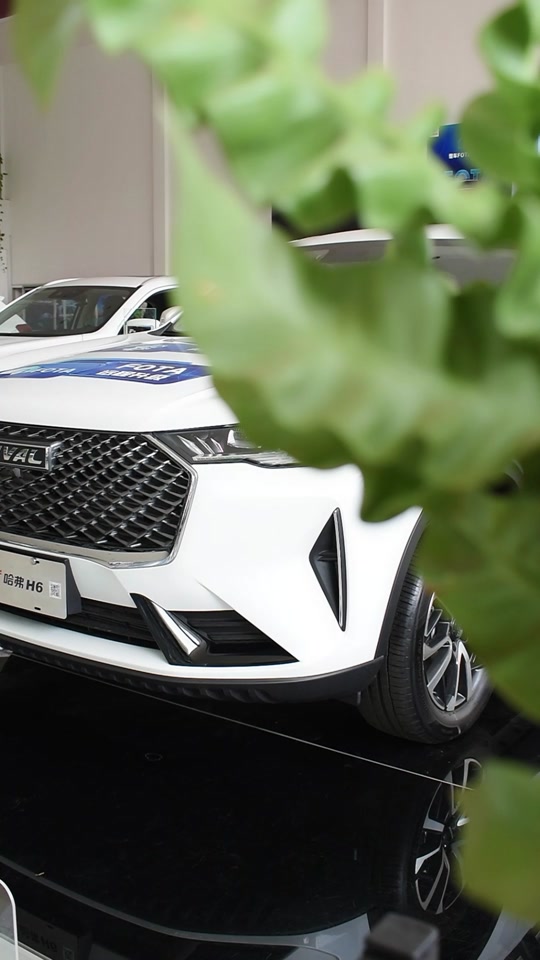 哈弗h6第三代怎么设置不需要唤醒词 - 抖音