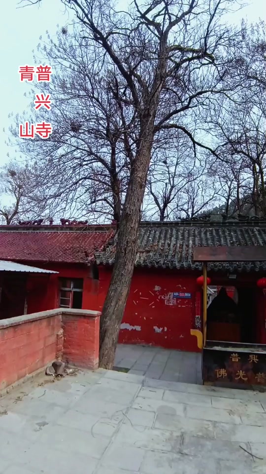 嘉祥纸坊今天什么庙会 - 抖音