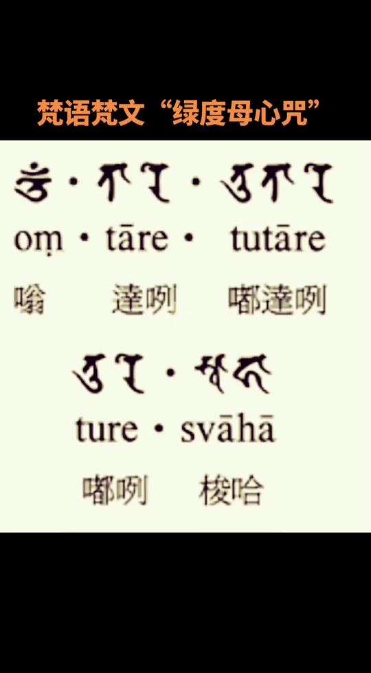 为动物超度念几遍咒啊的简单介绍