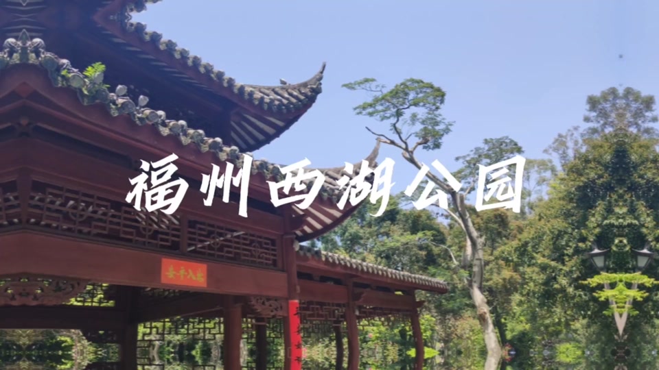 福州西湖公园4月11号什么活动 - 抖音