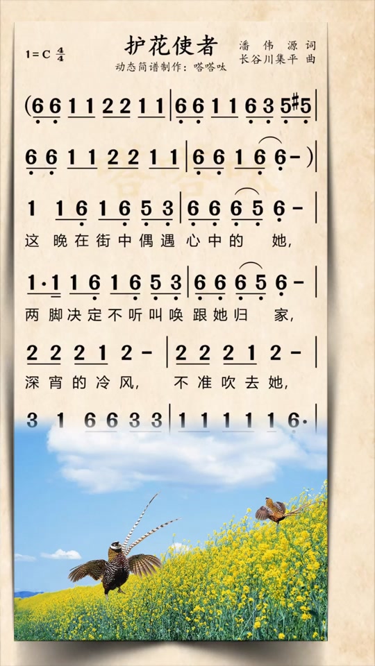 护花使者电子琴简谱_护花使者 钢琴谱