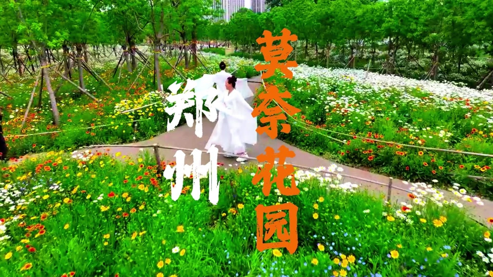 郑州司机的新沟花海在具体在什么位置 - 抖音