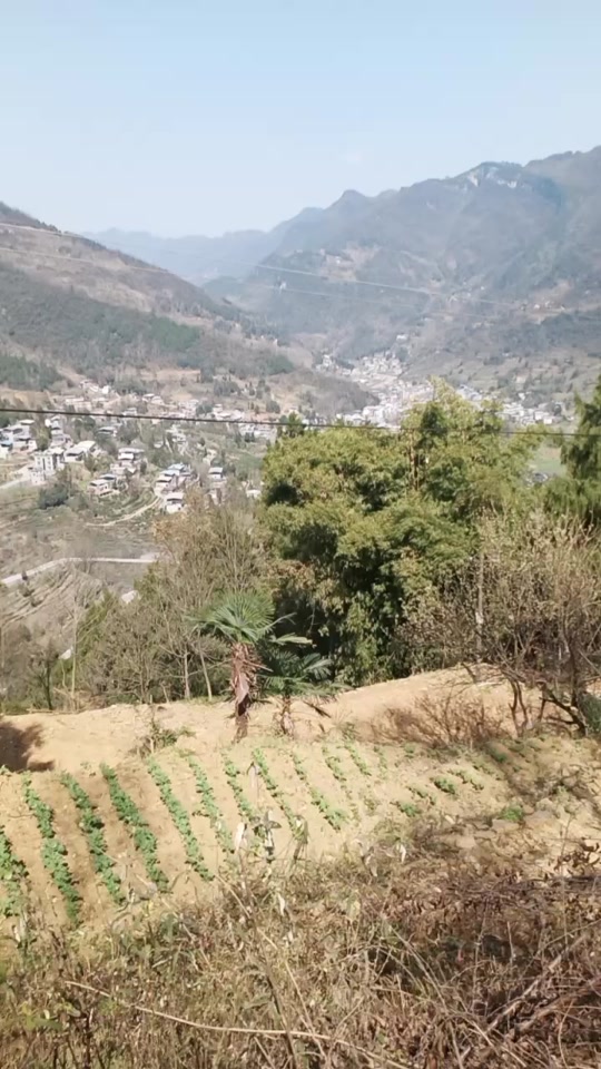 旺苍罐子坝水库要搬迁哪些地方 - 抖音