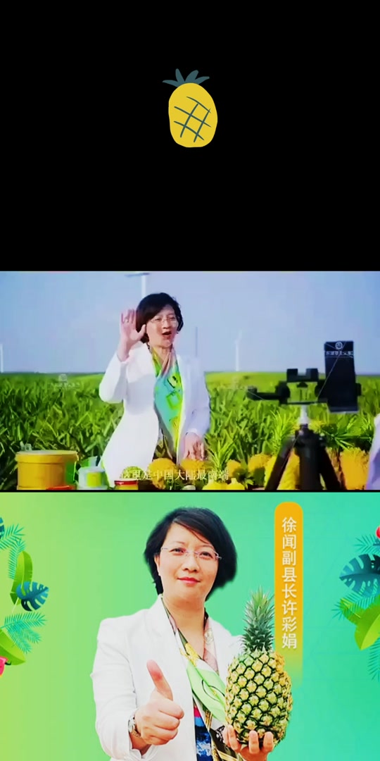 徐闻县长毛俊叫什么名 - 抖音