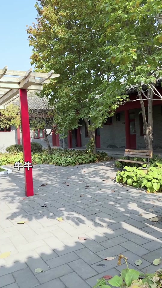 电影厨神少年初夏长什么样子 - 抖音