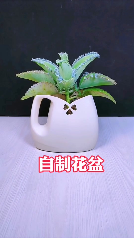 洗衣液空瓶制作简易花盆#手工diy #变废为宝 #手工 #自制花盆 #洗洁精