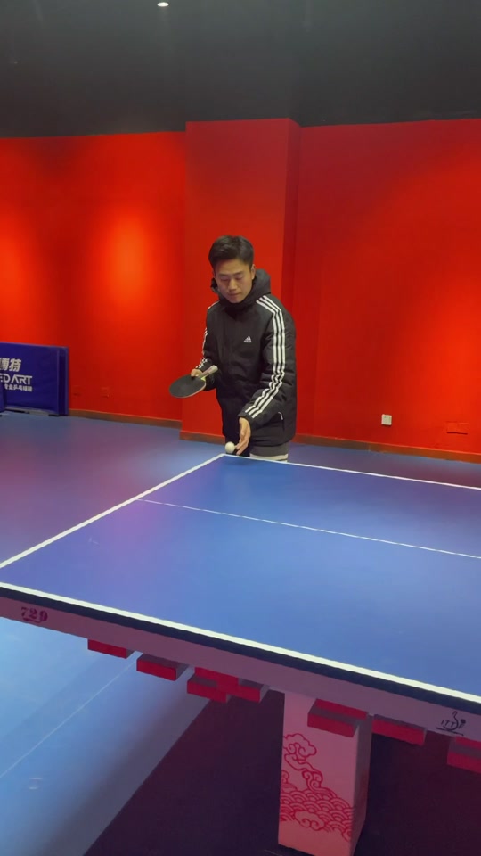 黄晨乒乓球得过冠军吗