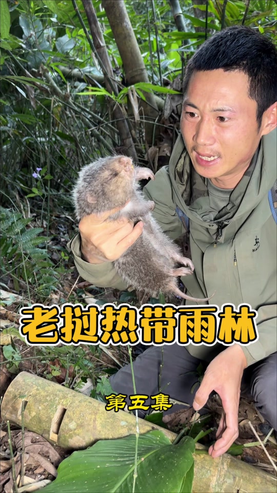 户外平头哥