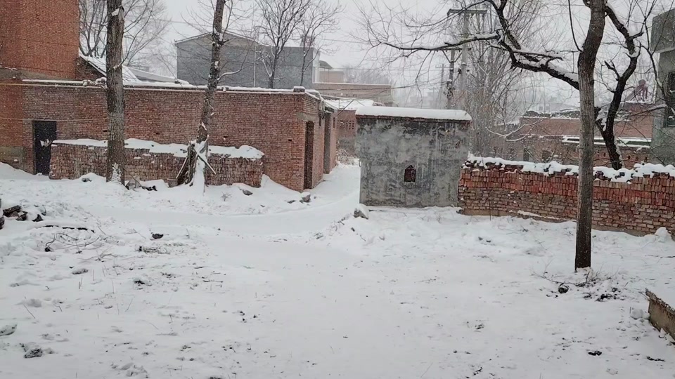 这不是雪都开始不停了 #鹅毛大雪 #农村雪景 #雪一直下 #河南下雪了