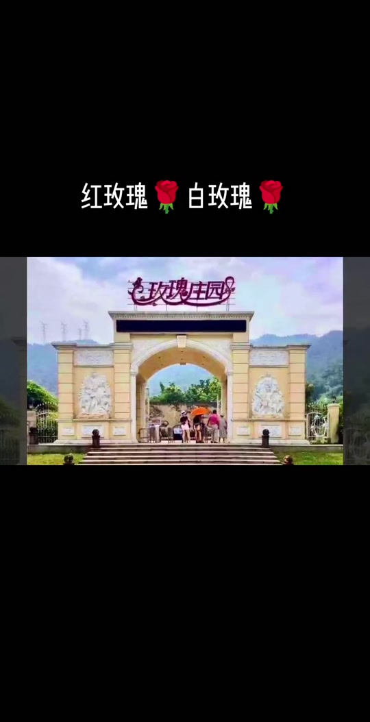 白玫瑰庄园_白玫瑰庄园(吸血鬼) 作者:南星山_白玫瑰庄园司媛温亭山