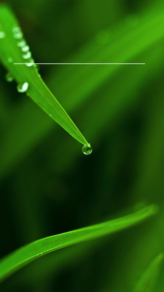 中国移动24年春招报名截止时间 - 抖音