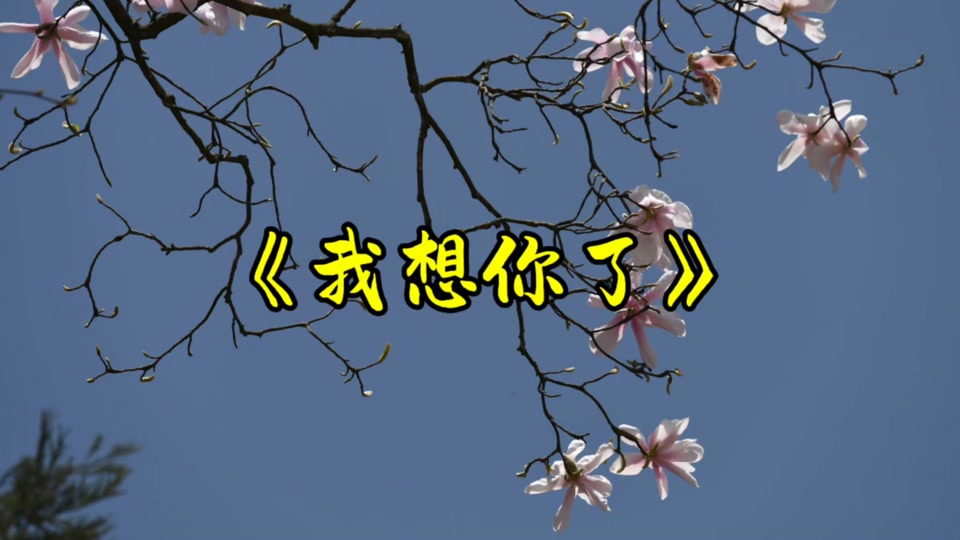 阿木的我想你了简谱
