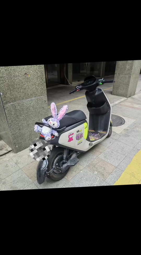 控制器:凌博e400 然然5250电池 m95c电机1500w 特惠价6899#九号电动