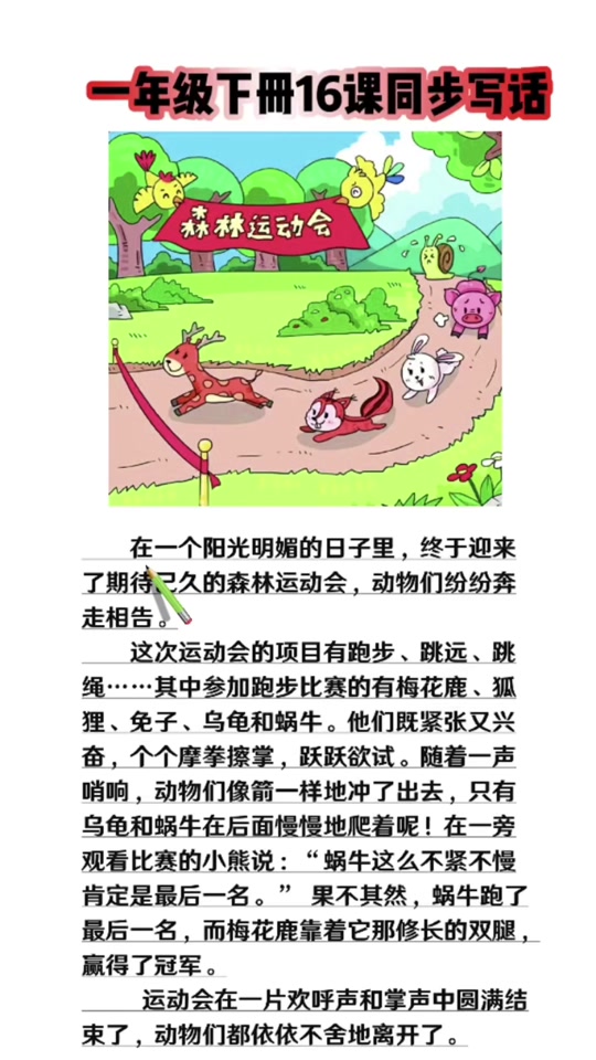 森林大会看图写话