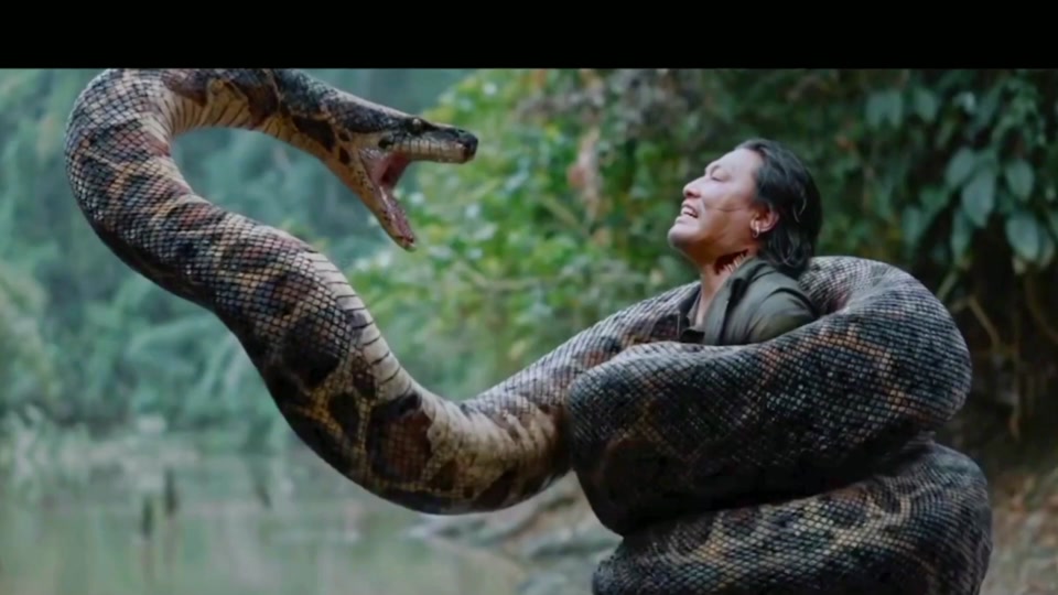 我的观影报告 #影视解说 #电影 #电影狂蟒之灾定档 #影视 2024中国版