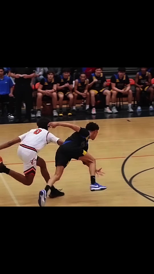 暴躁篮球犬的驯养传记最新更新内容