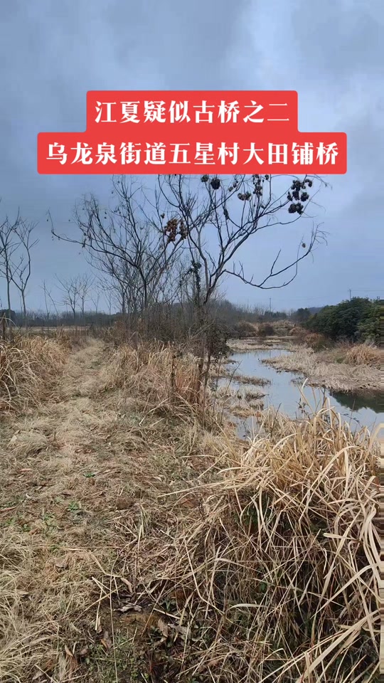 五星街道河头村怎么规划的 - 抖音