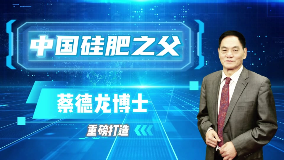 蘖,抗病防虫 壮杆抗倒,增加千粒重 水稻要想产量好,蔡德龙硅肥少不了!