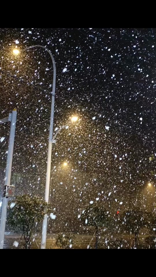 武汉有了自己的雪#武汉 #武汉天气 #武汉下雪了