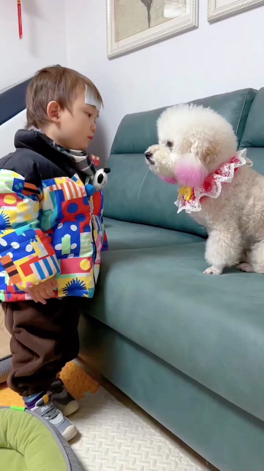 当迪宝看到宝宝生病时它有多心疼#哄娃神器 #不养狗不知道养狗的乐趣 #被你萌化了