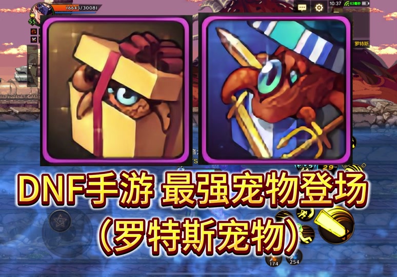 dnf团本宠物有几个 - 抖音