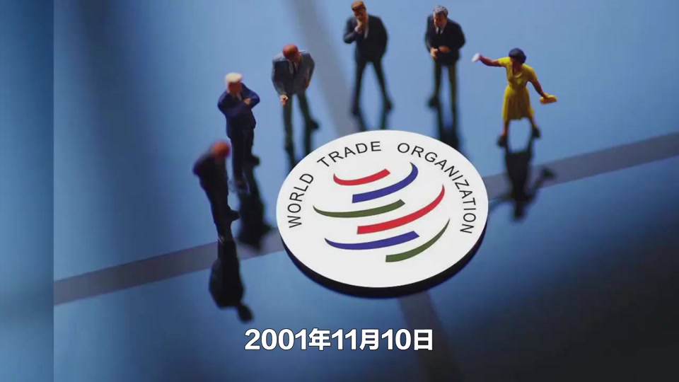 中国加入wto承诺了什么不毛输出 - 抖音
