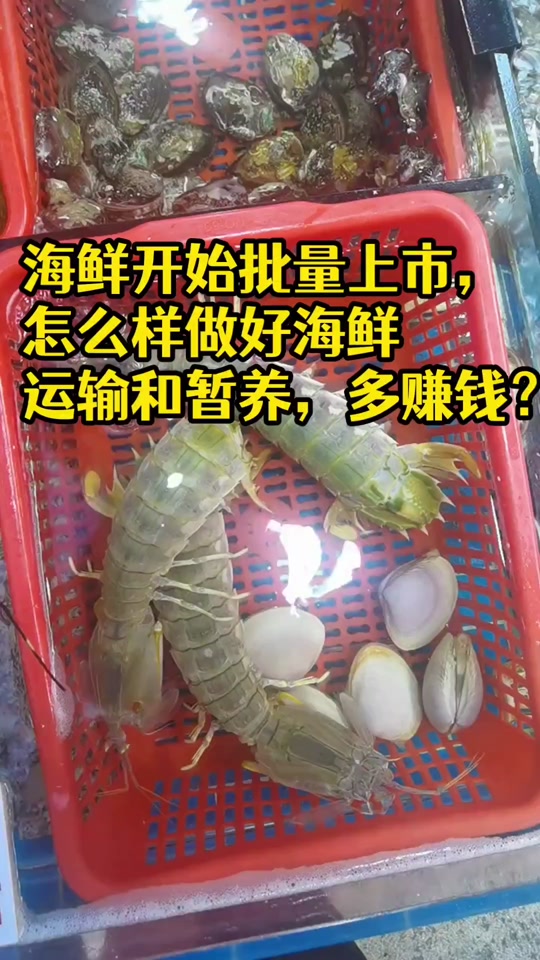海鲜水产宝的简单介绍 海鲜水产宝的简单

先容
（水产海鲜保鲜剂是什么） 水产