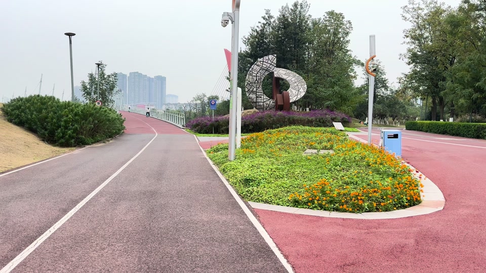 打卡成都三圣乡白鹭湾湿地公园,水杉由绿变黄再变红,十分漂亮