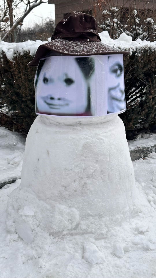 看看你堆的雪人 #快来评论区花式堆雪人 #龙图表情包