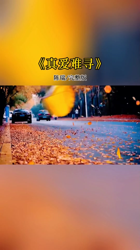 真爱难寻纪文欣