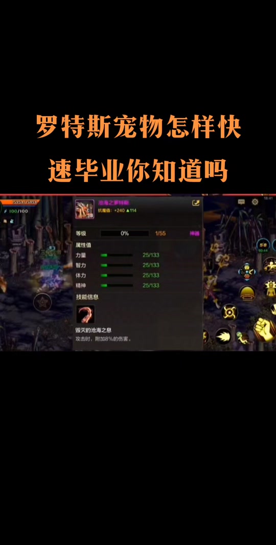 dnf怎么看宠物升级经验 - 抖音