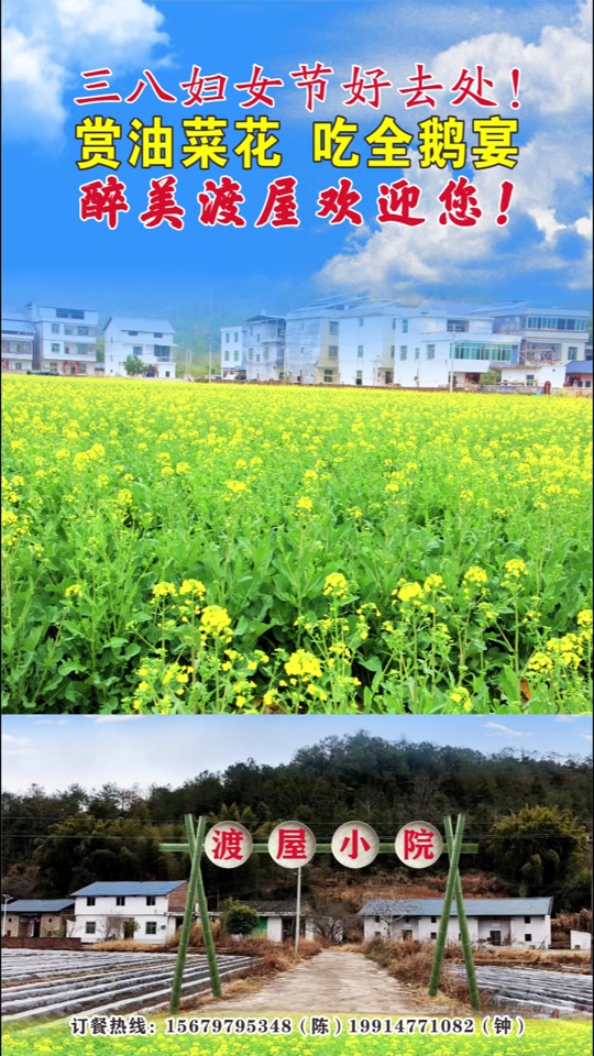 安远县孔田镇高屋油菜花